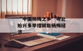 “中国杨梅之乡”粤北始兴多举措赋能杨梅经济
