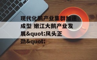 现代化鹅产业集群加速成型 嫩江大鹅产业发展"风头正劲"