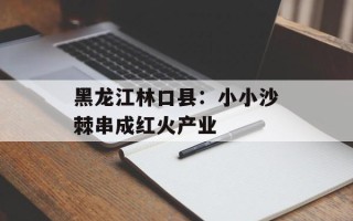 黑龙江林口县：小小沙棘串成红火产业