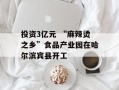 投资3亿元 “麻辣烫之乡”食品产业园在哈尔滨宾县开工