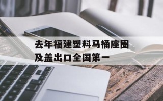 去年福建塑料马桶座圈及盖出口全国第一