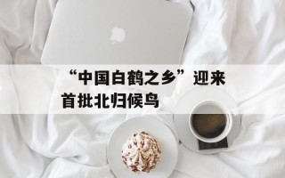 “中国白鹤之乡”迎来首批北归候鸟