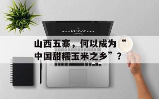 山西五寨，何以成为“中国甜糯玉米之乡”？