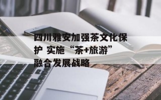 四川雅安加强茶文化保护 实施“茶+旅游”融合发展战略