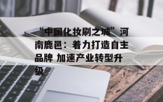 “中国化妆刷之城”河南鹿邑：着力打造自主品牌 加速产业转型升级