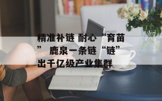 精准补链 耐心“育苗” 鹿泉一条链“链”出千亿级产业集群