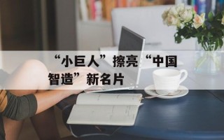 “小巨人”擦亮“中国智造”新名片