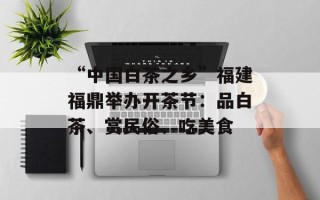 “中国白茶之乡”福建福鼎举办开茶节：品白茶、赏民俗、吃美食