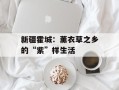 新疆霍城：薰衣草之乡的“紫”样生活