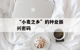 “小麦之乡”的种业振兴密码