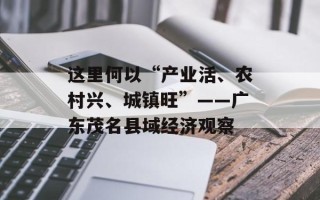 这里何以“产业活、农村兴、城镇旺”——广东茂名县域经济观察