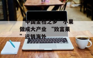 “中国金桔之乡”小果做成大产业 “致富果”远销海外