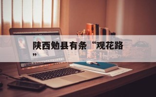 陕西勉县有条“观花路”