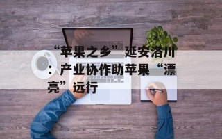 “苹果之乡”延安洛川：产业协作助苹果“漂亮”远行