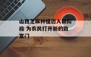 山西芝麻种植迈入新阶段 为农民打开新的致富门
