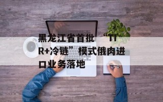 黑龙江省首批 “TIR+冷链”模式俄肉进口业务落地