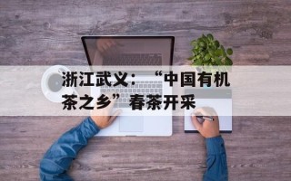 浙江武义：“中国有机茶之乡”春茶开采