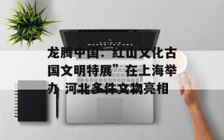 龙腾中国：红山文化古国文明特展”在上海举办 河北多件文物亮相