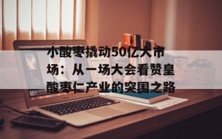 小酸枣撬动50亿大市场：从一场大会看赞皇酸枣仁产业的突围之路