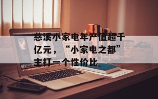 慈溪小家电年产值超千亿元，“小家电之都”主打一个性价比