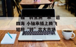 “轴”转五洲“承”运四海 小轴承插上腾飞翅膀“转”出大市场