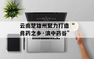 云南楚雄州聚力打造“彝药之乡·滇中药谷”