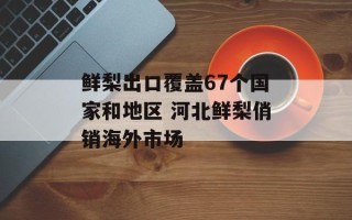 鲜梨出口覆盖67个国家和地区 河北鲜梨俏销海外市场