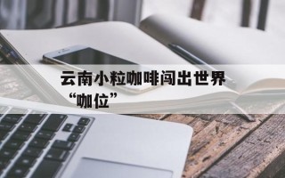 云南小粒咖啡闯出世界“咖位”