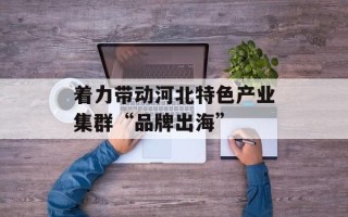 着力带动河北特色产业集群“品牌出海”