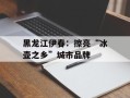黑龙江伊春：擦亮“冰壶之乡”城市品牌