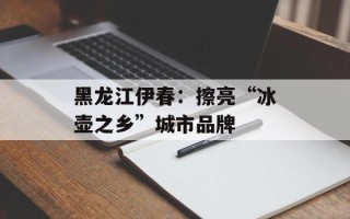 黑龙江伊春：擦亮“冰壶之乡”城市品牌