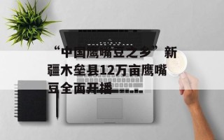“中国鹰嘴豆之乡”新疆木垒县12万亩鹰嘴豆全面开播