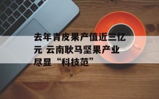 去年青皮果产值近三亿元 云南耿马坚果产业尽显“科技范”