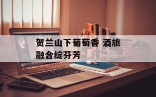 贺兰山下葡萄香 酒旅融合绽芬芳