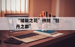 “储能之花”待放“牡丹之都”