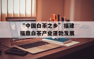 “中国白茶之乡”福建福鼎白茶产业蓬勃发展