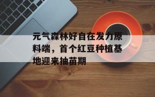 元气森林好自在发力原料端，首个红豆种植基地迎来抽苗期
