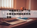“中国黄花之乡”：小小黄花如何撬动乡村大发展