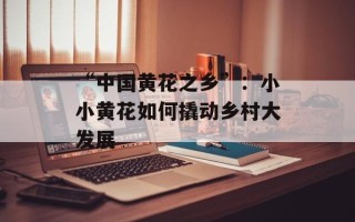 “中国黄花之乡”：小小黄花如何撬动乡村大发展