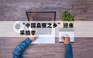 “中国桑椹之乡”迎来采摘季