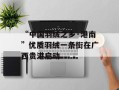 “中国羽绒之乡·港南”优质羽绒一条街在广西贵港启动