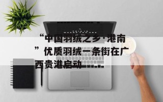 “中国羽绒之乡·港南”优质羽绒一条街在广西贵港启动