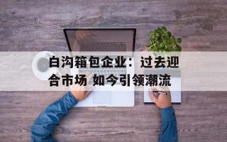 白沟箱包企业：过去迎合市场 如今引领潮流