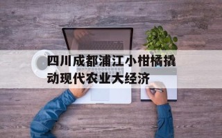四川成都浦江小柑橘撬动现代农业大经济
