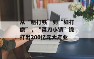 从“粗打铁”到“细打磨”，“菜刀小镇”锻打出200亿元大产业