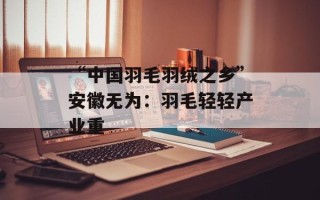 “中国羽毛羽绒之乡”安徽无为：羽毛轻轻产业重