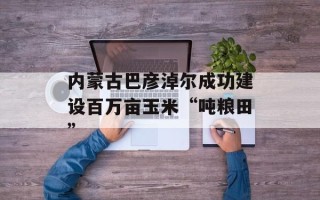 内蒙古巴彦淖尔成功建设百万亩玉米“吨粮田”
