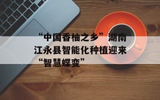 “中国香柚之乡”湖南江永县智能化种植迎来“智慧蝶变”