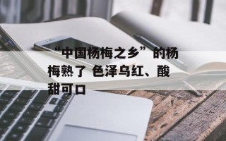 “中国杨梅之乡”的杨梅熟了 色泽乌红、酸甜可口