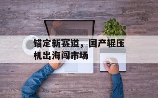 锚定新赛道，国产辊压机出海闯市场